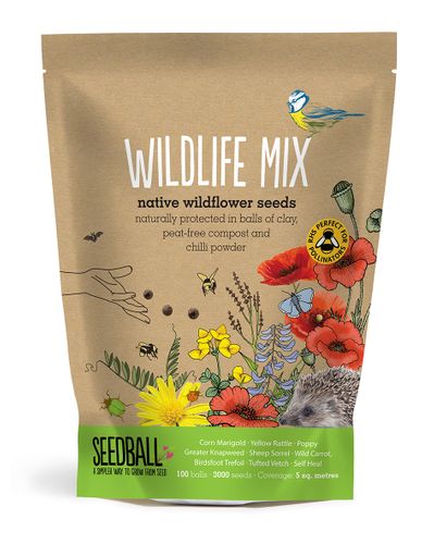 Wildflower Seed Balls - 100-Ball Grab Bags