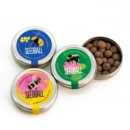 Wildflower Seed balls - Tin Range