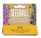 Wildflower Seed Balls - Hanging Packs