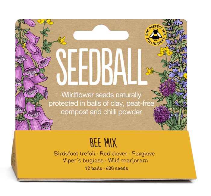 Wildflower Seed Balls - Hanging Packs