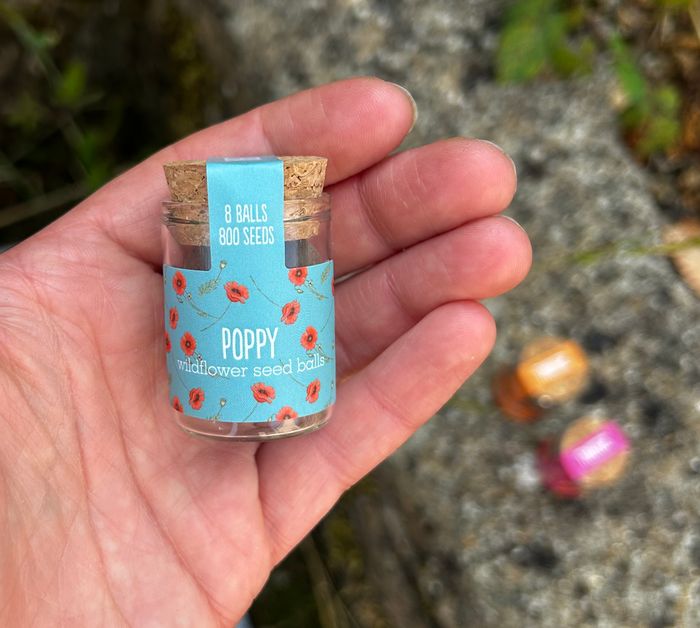 Wildflower Seed Balls - Jar Range