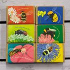Wildflower Seed Ball - Bees Collection