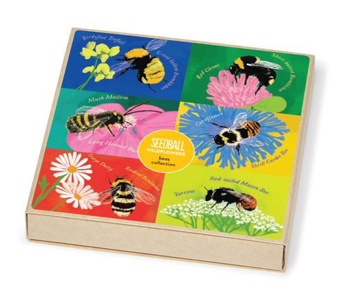 Wildflower Seed Ball - Bees Collection