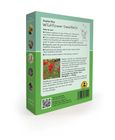 Wildflower Seed Balls - Scatter Box
