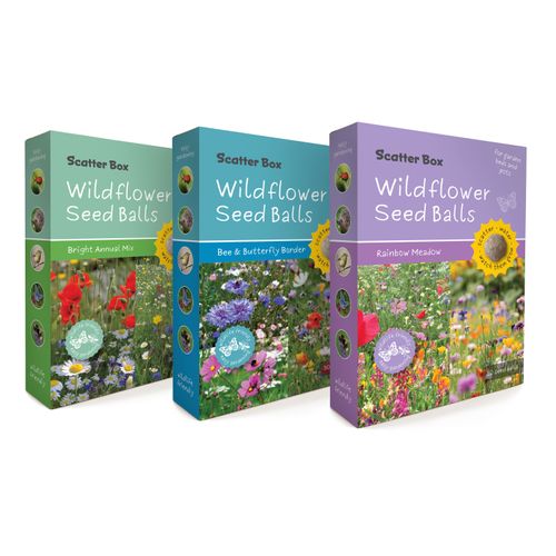 Wildflower Seed Balls - Scatter Box