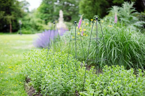 RHS Endorsed Country Forge Range