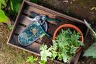 Woodland Wonders: a new ‘RHS Gifts for Gardeners’ collection