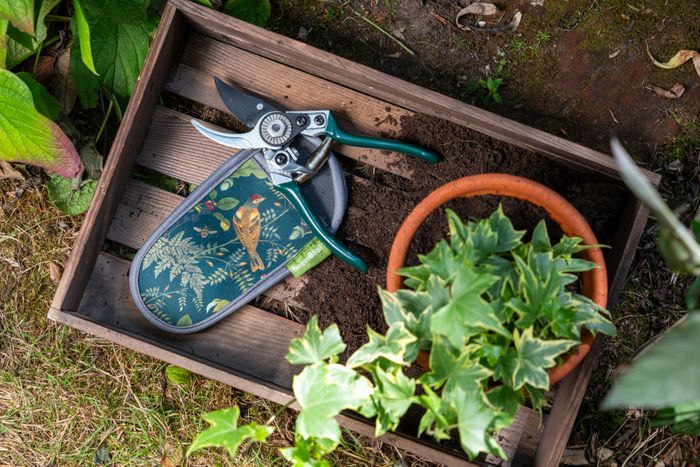 Woodland Wonders: a new ‘RHS Gifts for Gardeners’ collection