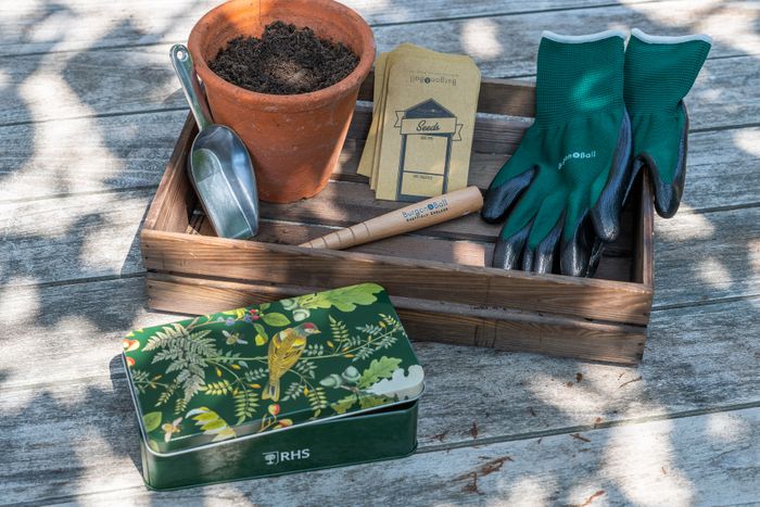 Woodland Wonders: a new ‘RHS Gifts for Gardeners’ collection