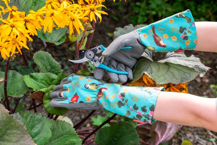 New ‘Flora and Fauna’ gifts for Burgon & Ball's RHS Gifts for Gardeners