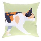 BK043-Outdoor Cushion Calico Cat