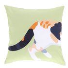 BK043-Outdoor Cushion Calico Cat