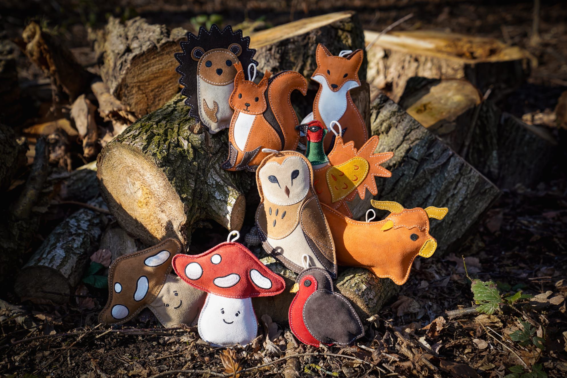 Eco Dog Toy Range