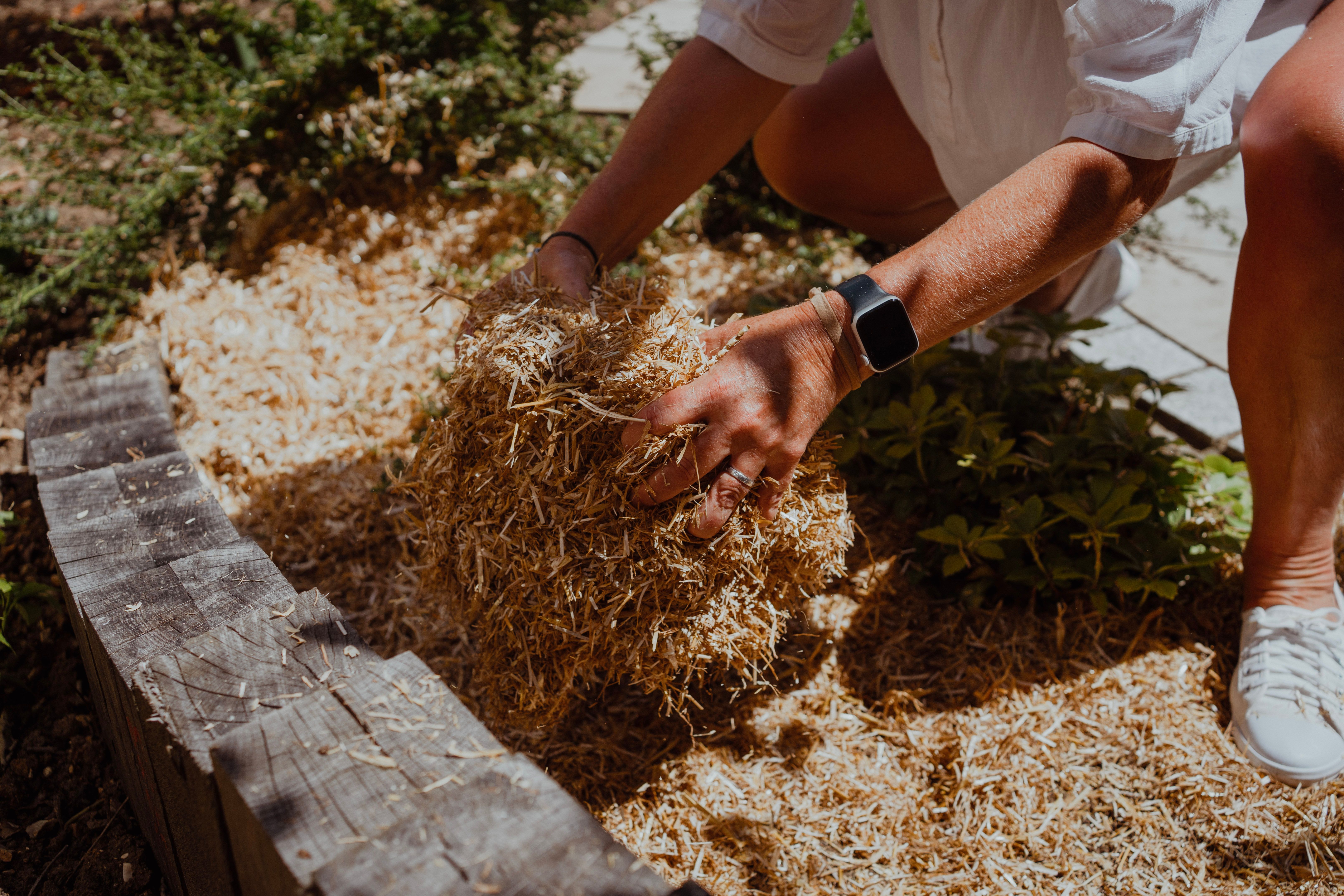 Marvellous Mulch