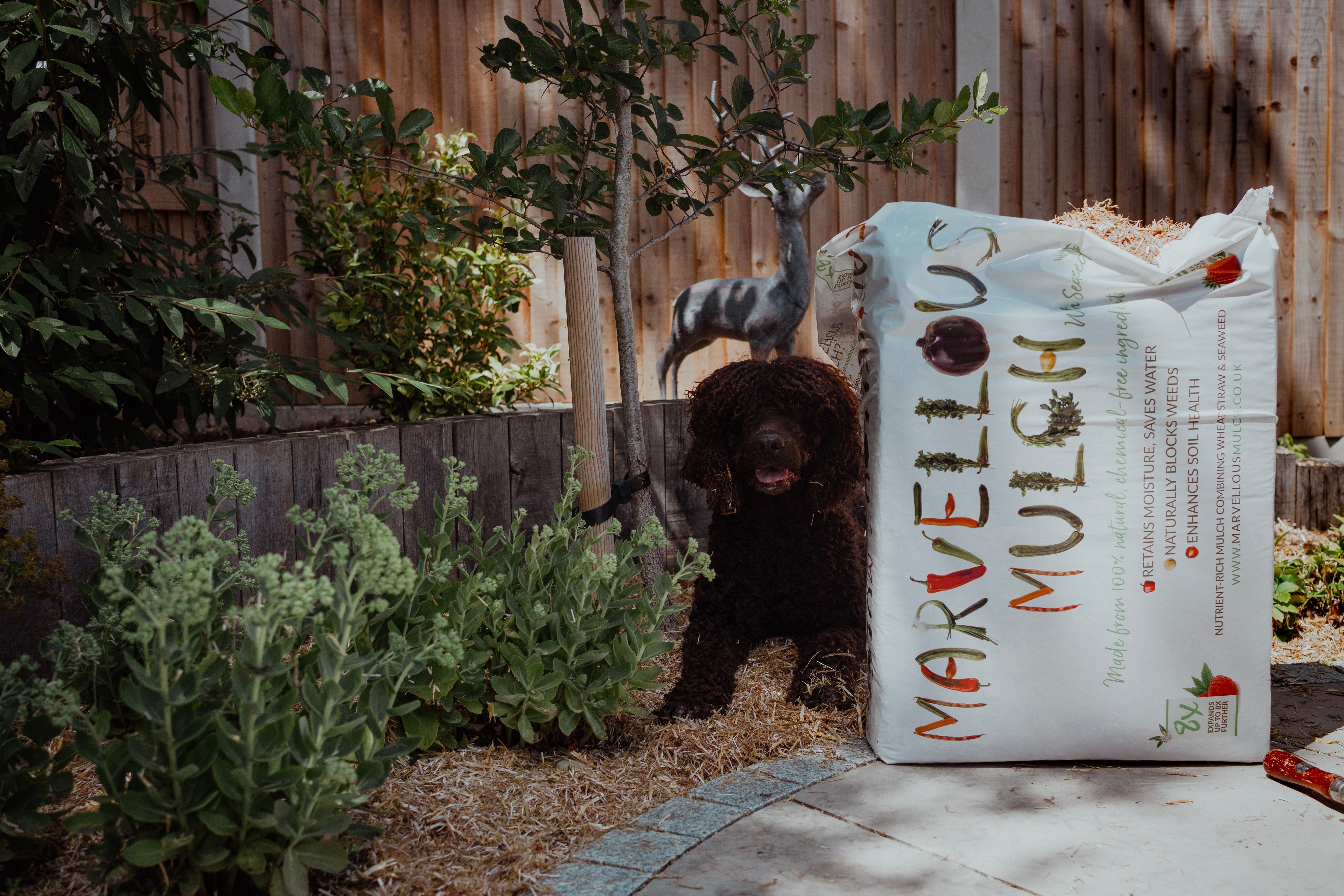 Marvellous Mulch