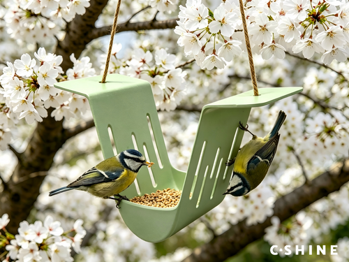 Bird Feeder