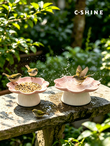 Bird Feeder /Platform Feeder
