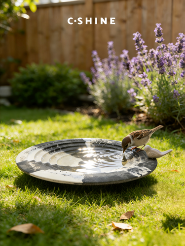 Bird Bath