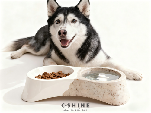 Dog Bowl /Cat Bowl /Pet Feeder