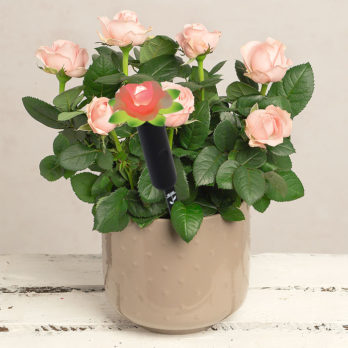 Plant Alarm