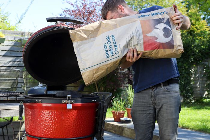Iberian Holm Oak Charcoal