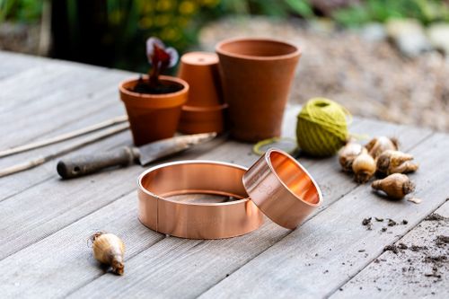 Starter Slug Rings