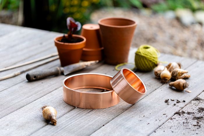 Starter Slug Rings
