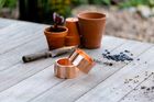 Small Slug Rings