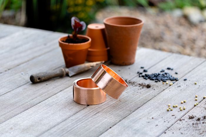 Small Slug Rings