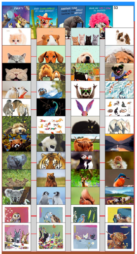 Animal Magic Greeting Cards