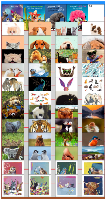 Animal Magic Greeting Cards