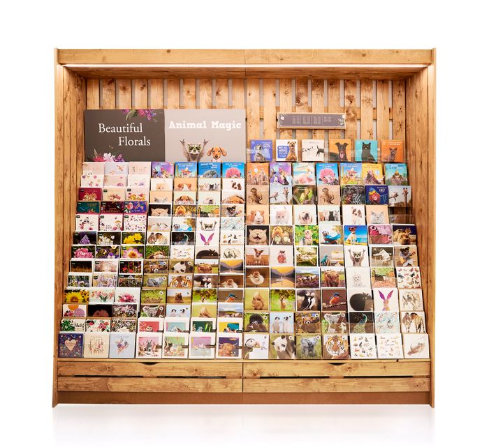 Animal Magic Greeting Cards