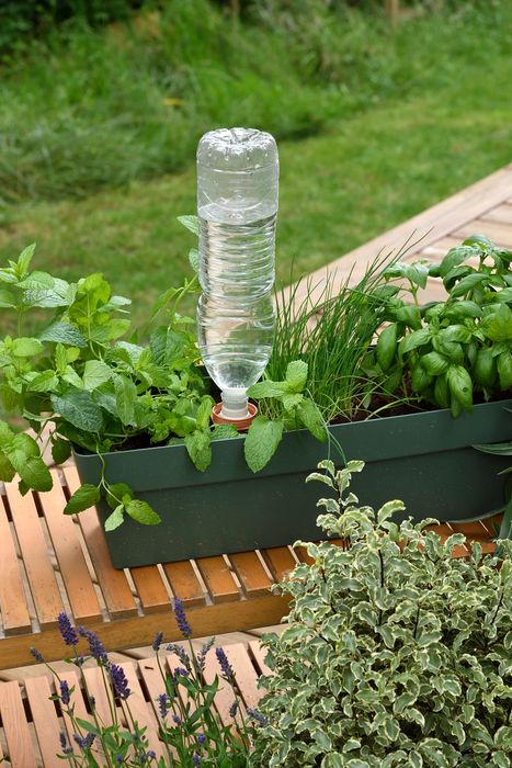 Aquasolo Universal