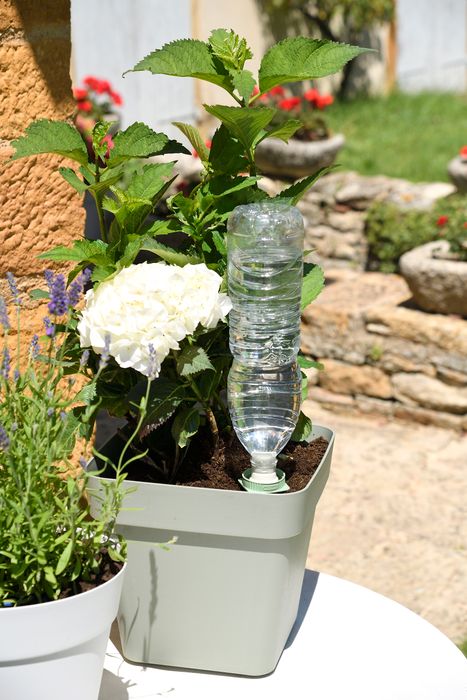 Aquasolo Universal