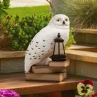 Hedwig Gnome Light