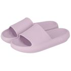 XQ Slides