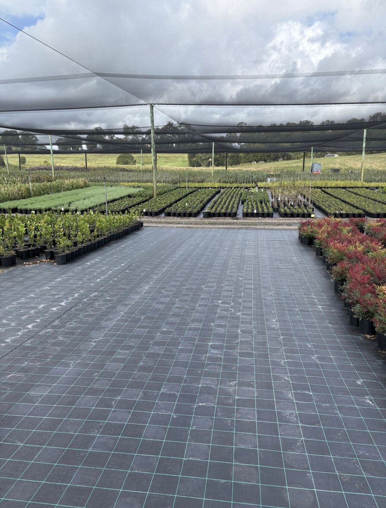 Landscape Fabric - Ground Cover