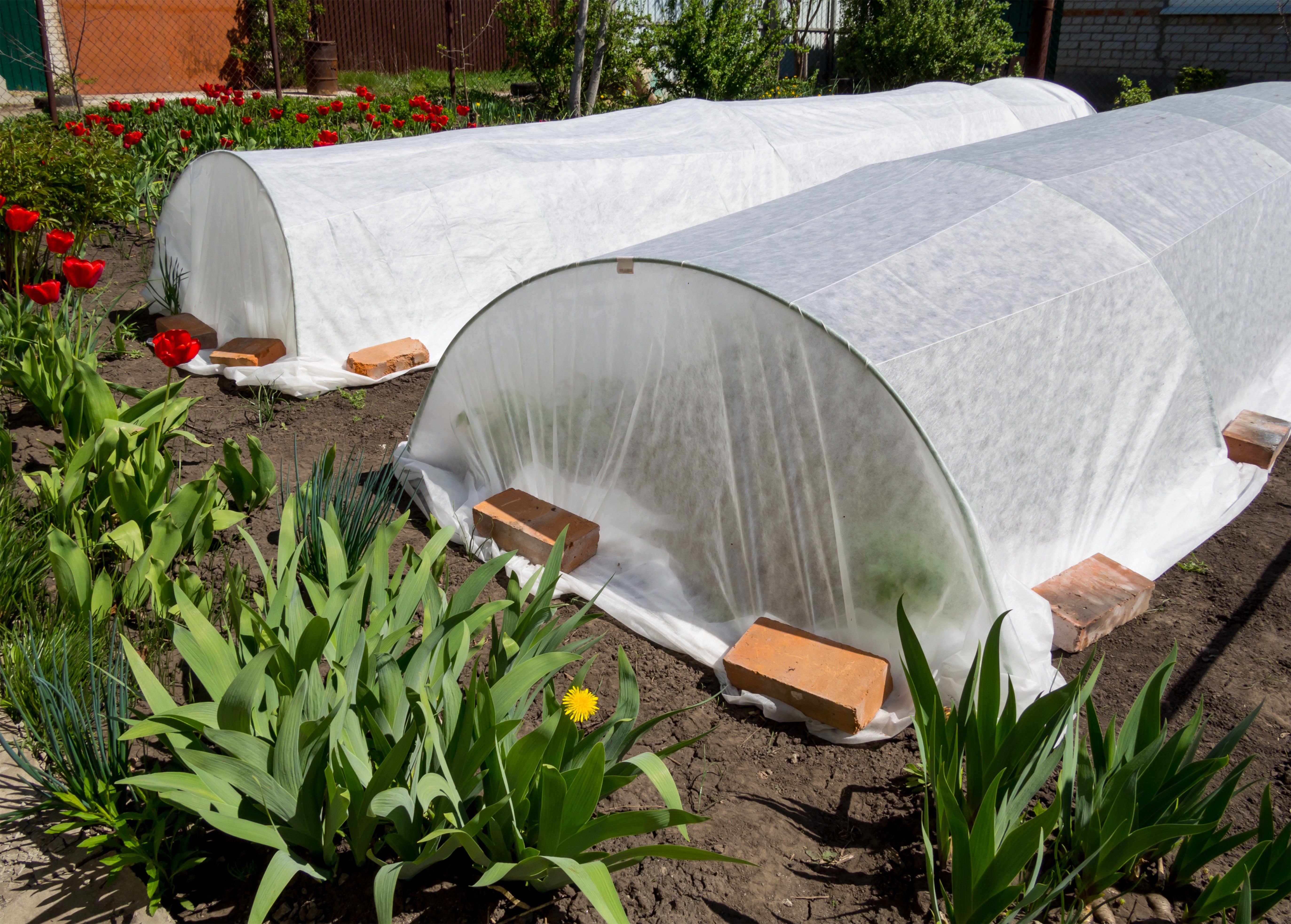 Nonwoven Fabric - Frost Cover + Landscape