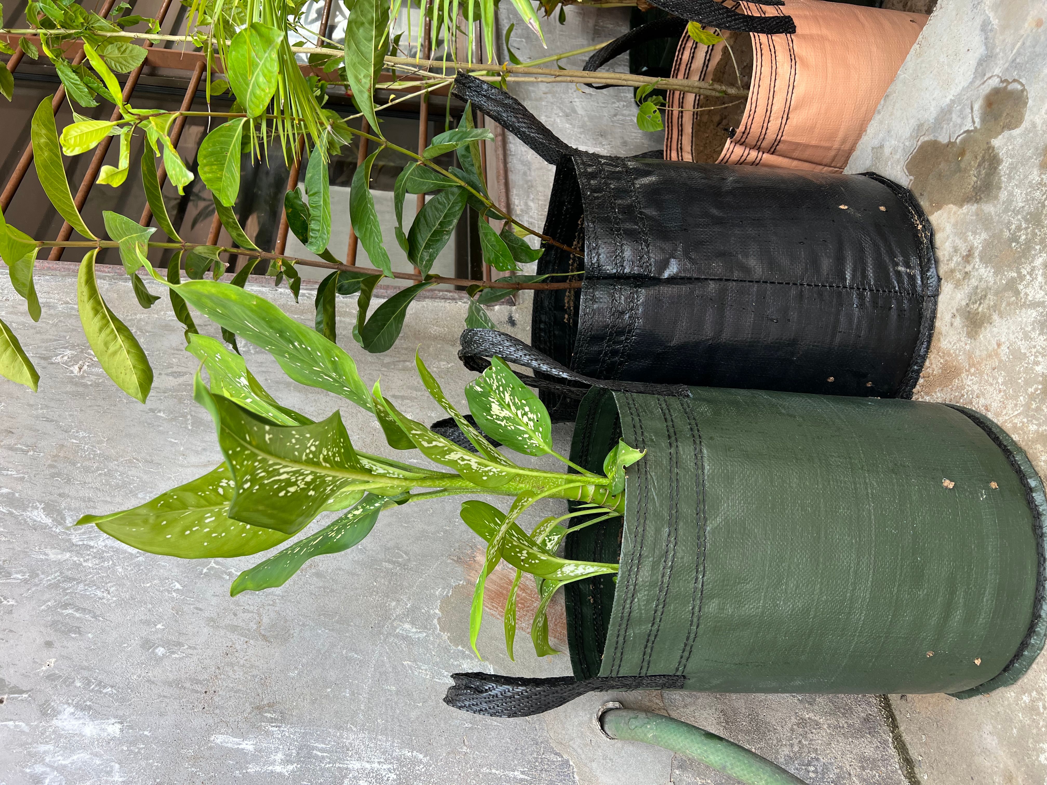 Planter Bag / Grow Bags