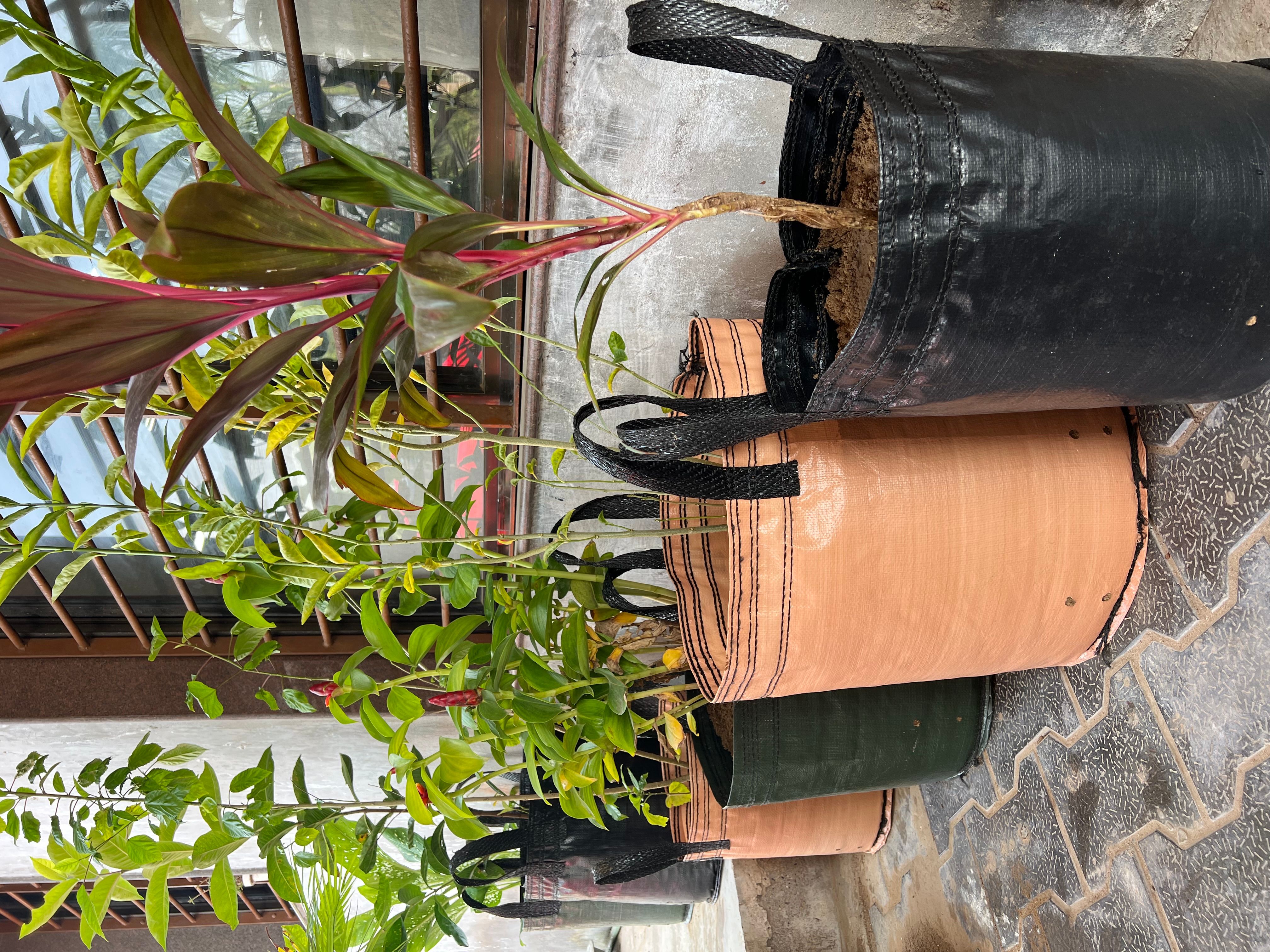 Planter Bag / Grow Bags