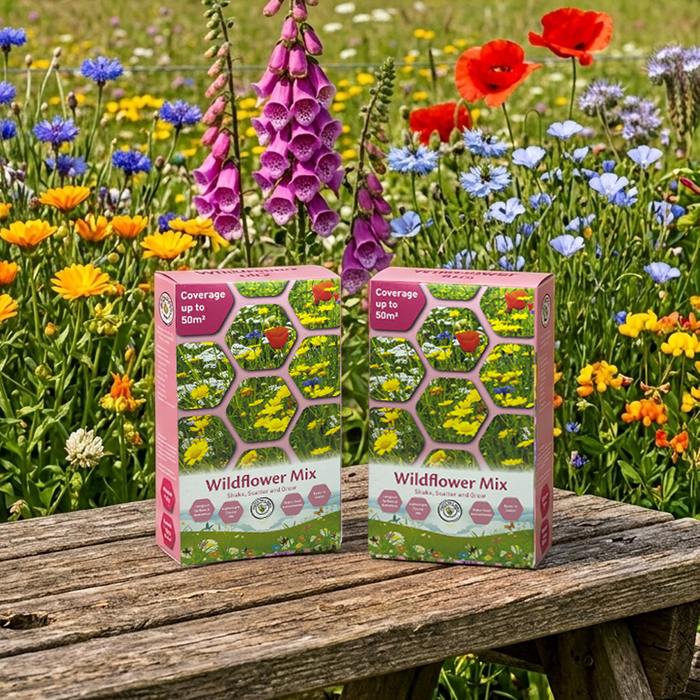 Wildflower Scatter Cartons