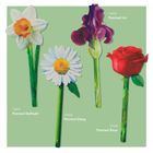 Flower Bookmarks