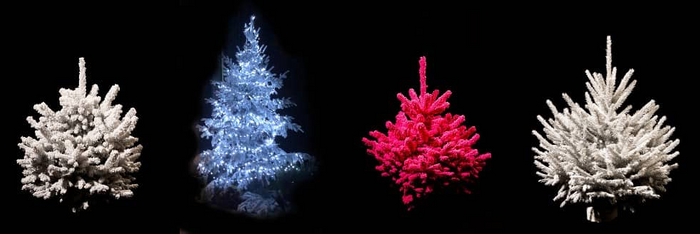 DECORATIVE FIR AND CHRISTMAS TREES