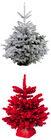 DECORATIVE FIR AND CHRISTMAS TREES
