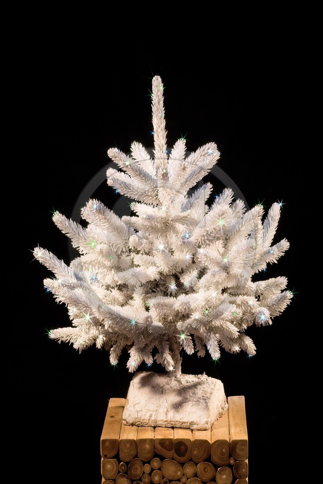 DECORATIVE FIR AND CHRISTMAS TREES