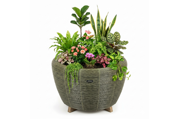 Orbis Planter