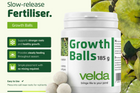 Growth Balls
