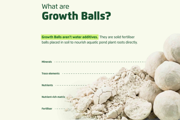 Growth Balls