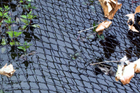 Cover Net