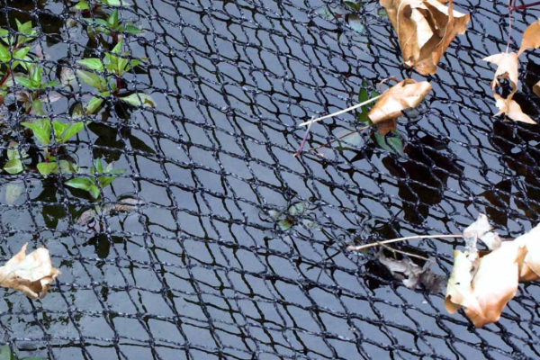 Cover Net
